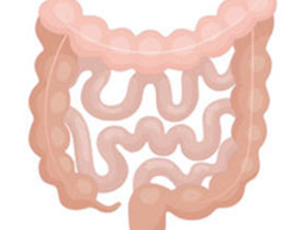 Ayurveda Detox & Colon Cleansing Treatment